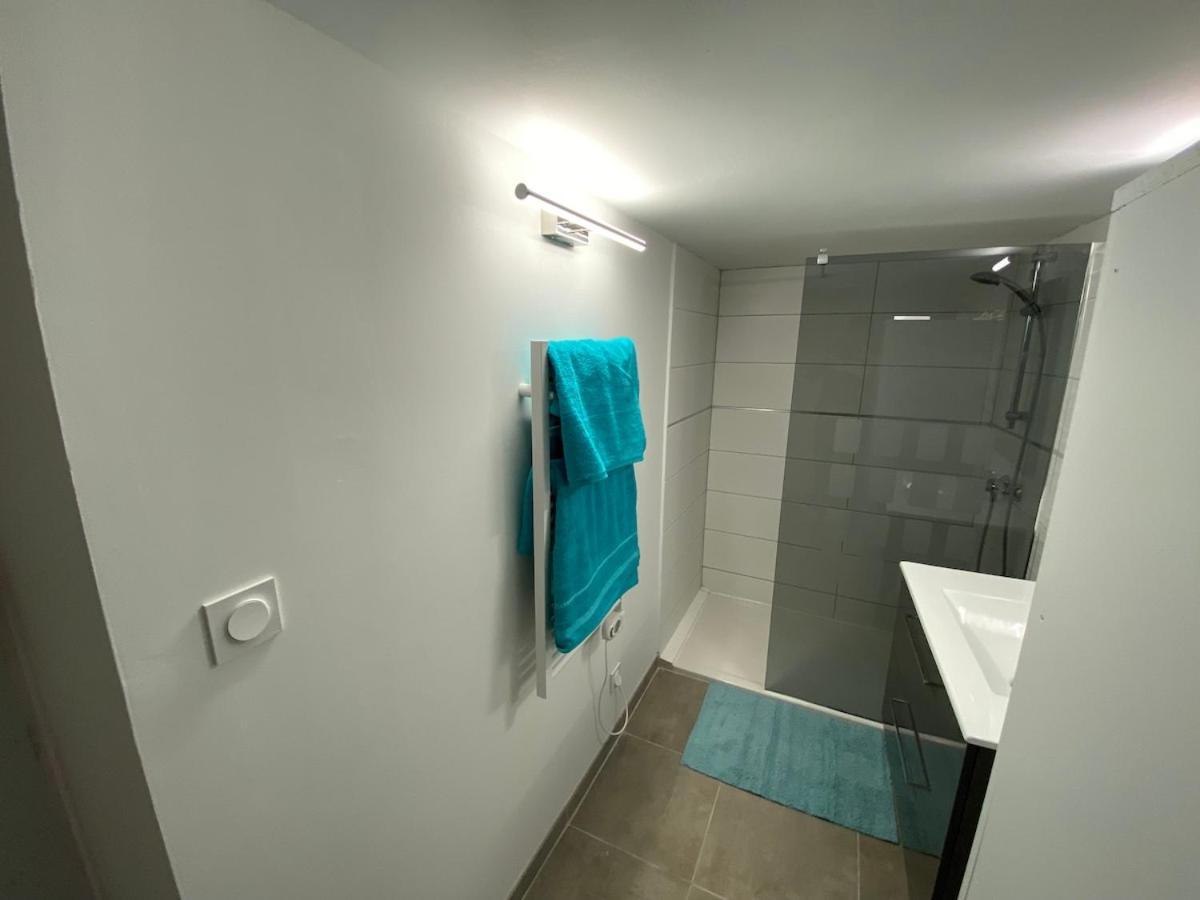 Superbe Appartement Climatise Avec Patio Montpellier Exteriér fotografie